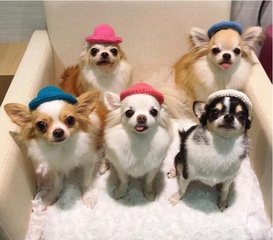 imtoken冷钱包如何搬砖