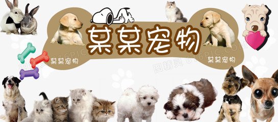 imtoken钱包存币教程
