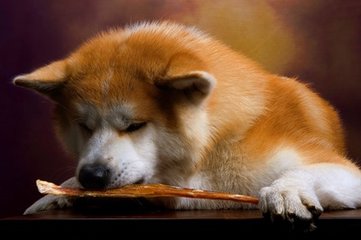 狗狗币钱包是什么imtoken