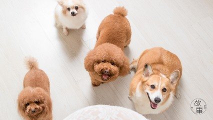 imtoken多重签名钱包