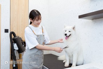 imtoken官网正版下载