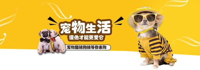 imtoken钱包正版