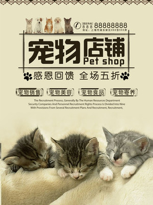 imtoken钱包的风险