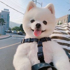 imtoken钱包的性质